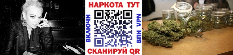 ГАШ Елец
