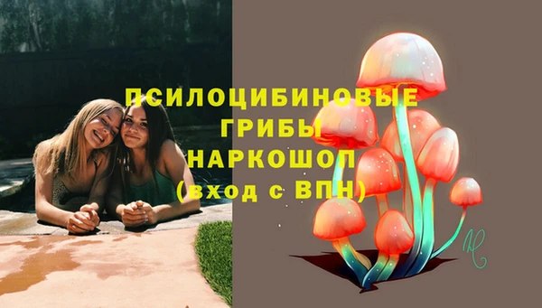 спиды Алзамай