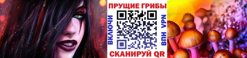Галлюциногенные грибы Psilocybine cubensis мега ТОР Елец сколько стоит